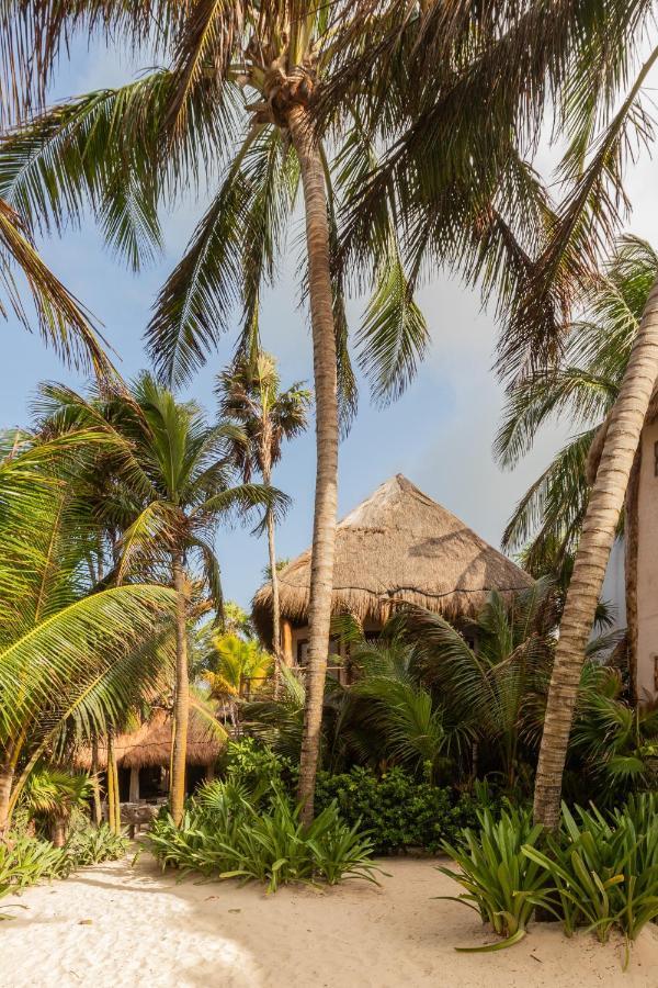Encantada Tulum Bagian luar foto